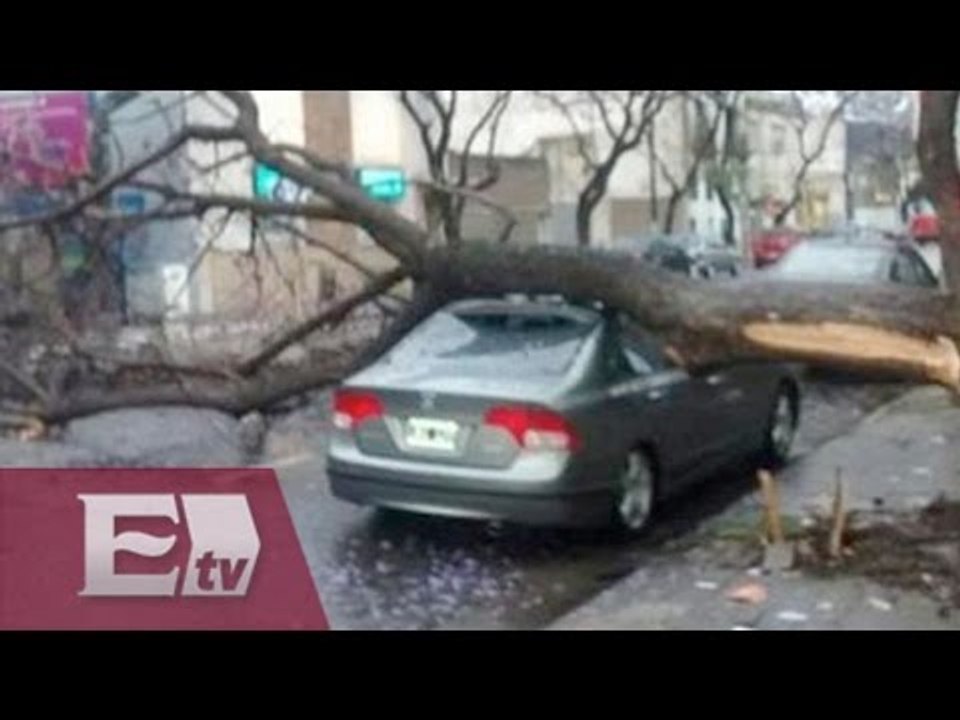 Continúan retirando árboles caídos en la Ciudad de México / Pascal Beltrán