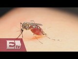 Aumenta el número de embarazadas con Zika en México / Mariana H