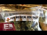 Asociación de Farmacias de México respalda el uso medicinal de la marihuana /  Yazmín Jalil