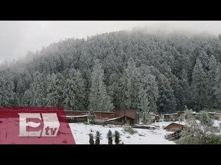 Reportan fuerte nevada en santuario de mariposa monarca / Pascal Beltrán