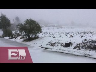 Nevada afecta a santuario de mariposa monarca / Yuriria Sierra