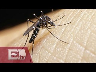 Casi imposible eliminar virus del zika / Paola Virrueta