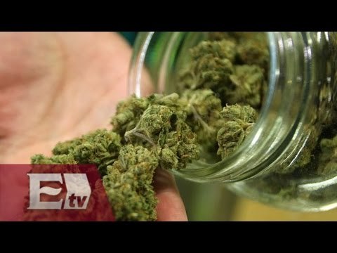 Asociación de Farmacias de México respalda el uso medicinal de la marihuana / Yuriria Sierra