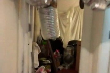 Dairedeki Uyuşturucu Serası Polisi Bile Şaşkına Çevirdi