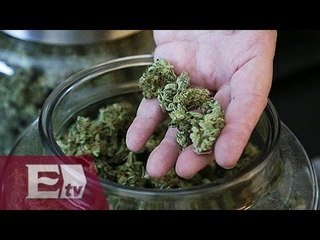 ¿Permitir o no el uso medicinal de la marihuana? / Yazmín Jalil