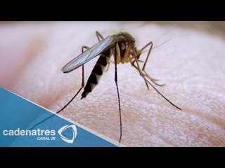 ¡Epidemia en México! Registran fiebre chikungunya en Chiapas