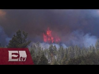 250 hectáreas afectadas por incendio en sierra del Tepozteco / Pascal Beltrán