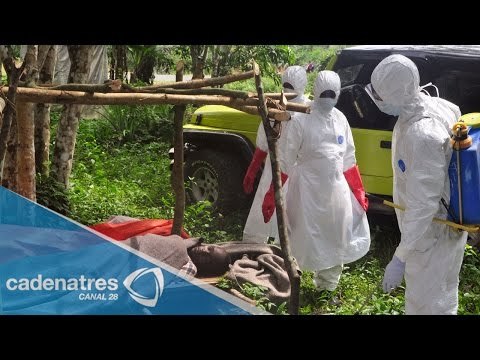 Muere por ébola otro médico en Sierra Leona