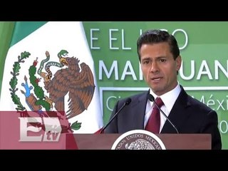 EPN destaca 5 posiciones constantes sobre el uso de marihuana / Francisco Zea