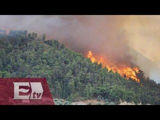 Continúan labores para sofocar incendio en Tepoztlán / Ricardo Salas