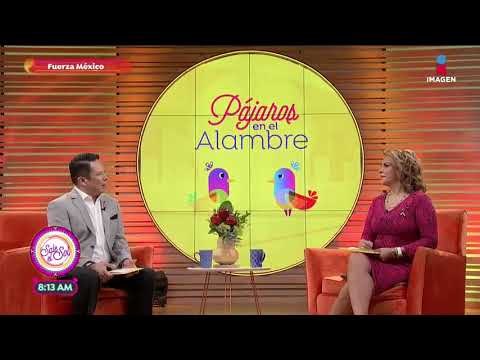 Perros rescatistas, todos unos héroes nacionales | Sale el Sol