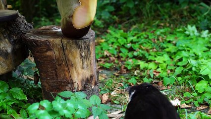 WORLD'S BEST FONDUE! - THE BEST FOODPORN VIDEO 4k !