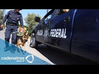 Cae sicario de Guerreros unidos en Cocula