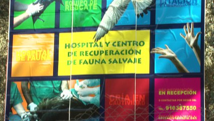 Se celebra el Día Mundial de las Aves