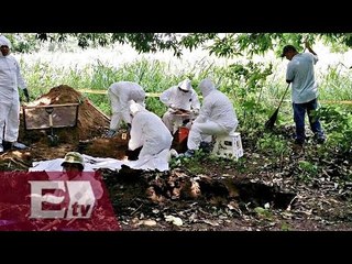 No hubo incinerados en el basurero de Cocula: GIEI /  Paola Virrueta
