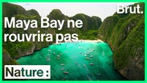 Maya Bay restera fermée pour une durée indéterminéé