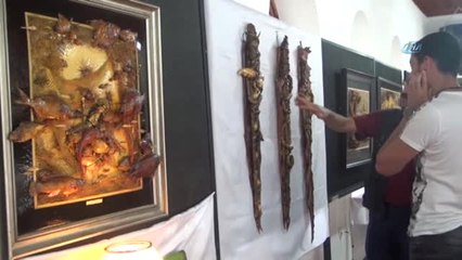 Deniz Canlılarını Sanata Dönüştürüyor