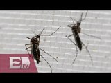 Chiapas concentra el mayor número de casos de zika en México/ Yazmín Jalil