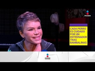 ¡Roxana Chávez nos habla de su proyecto 'Perro y Manchado'! | De Primera Mano