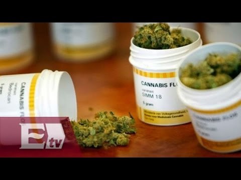 Congelan debate sobre uso medicinal de la marihuana / Enrique Sánchez