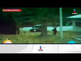 Soldado de Corea del Norte cruza la frontera para escapar | Sale el Sol