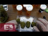 Senado discute uso medicinal de la marihuana / Kimberly Armengol
