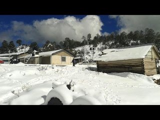 Nevada afecta a 12 municipios de Durango