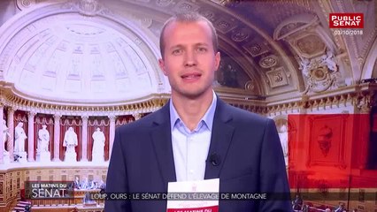 Loup, ours : le sénat défend l'élevage de montagne - Les matins du Sénat (05/10/2018)
