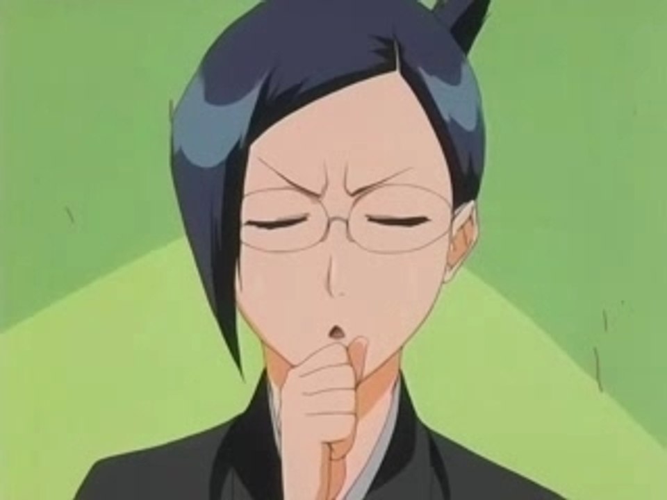 Bleach - Le guide du Shinigami (75-76)