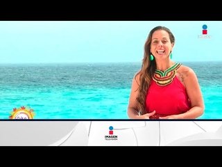 Horóscopos 1 de diciembre: entra Venus en Sagitario   | Sale el Sol