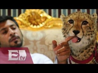 Millonario exhibe animales exóticos en redes sociales / Hiram Hurtado