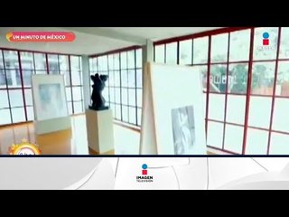 Un Minuto de México: Las casas de Diego Rivera | Sale el Sol