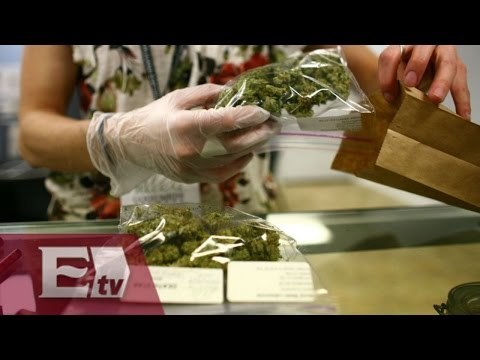 Senado avala uso medicinal de la marihuana / Yuriria Sierra