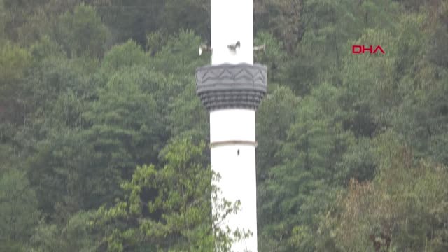 Doğu Karadeniz'de Sağanak Sel ve Heyelana Yol Açtı -3
