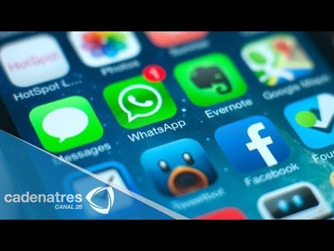 Las aplicaciones móviles y la cultura vial en México en Semanal 28 26/01/15