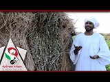 احمد الجقر| انا ام درمان| اغانى سودانية 2018