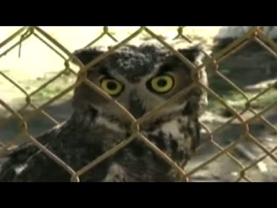 Nuevo zoológico en SLP con especies decomisadas