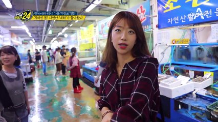 (꿀팁)신선한 대하 고르는 법과 양식 새우 구별법☆