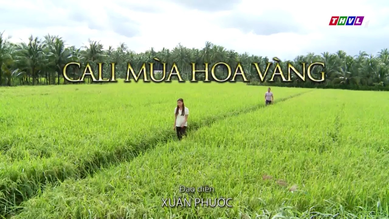 Cali Mùa Hoa Vàng Tập 14 - Phim Việt Nam