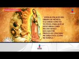 A 485 años de las apariciones de La Virgen de Guadalupe... | Sale el Sol