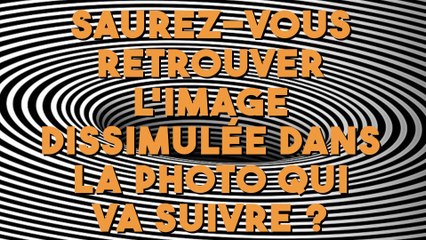 Saurez-vous retrouver l'image dissimulée dans cette photo ?
