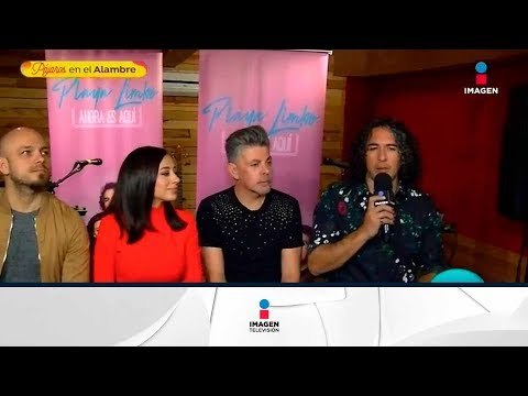 ¡Así luce la nueva vocalista de Playa Limbo en su nuevo video! | Sale el Sol