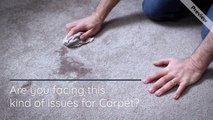 Professional Carpet Cleaning Services in London by Double Clean UK