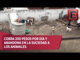 Cobra por cuidar perros en Álvaro Obregón y los mantiene en malas condiciones
