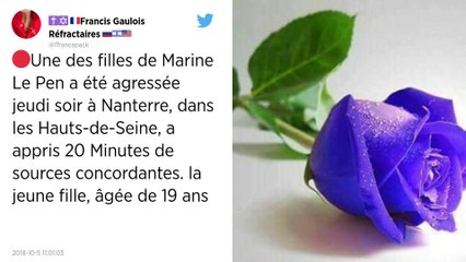 La fille de Marine Le Pen agressée lors d’une bagarre à Nanterre.