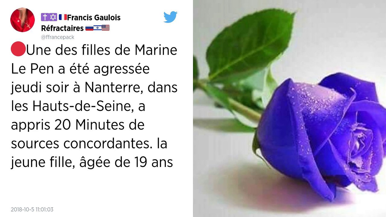 La fille de Marine Le Pen agressée lors d’une bagarre à Nanterre.