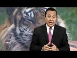 “Animales de zoológicos mueren por ineptitud”, en opinión de Martín Espinosa