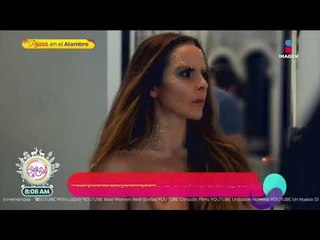 ¡Padres de Kate del Castillo viajarán a Los Ángeles para Navidad! | Sale el Sol