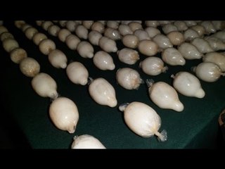 'Mulas', la nueva forma de traficar droga en México