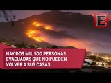 Incendio forestal en La Palma arrasa cuatro mil hectáreas